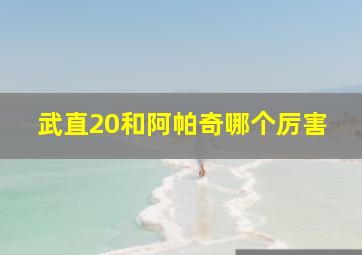 武直20和阿帕奇哪个厉害