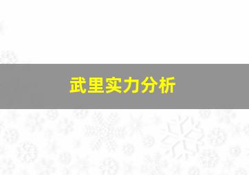 武里实力分析