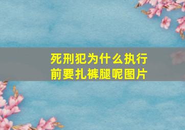 死刑犯为什么执行前要扎裤腿呢图片