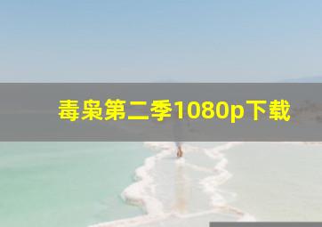 毒枭第二季1080p下载