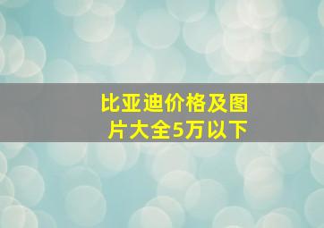 比亚迪价格及图片大全5万以下