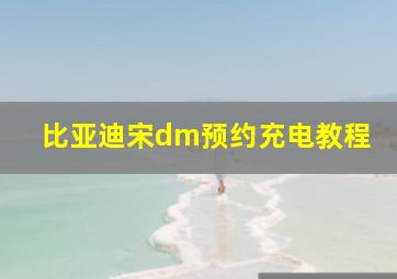 比亚迪宋dm预约充电教程