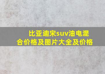 比亚迪宋suv油电混合价格及图片大全及价格