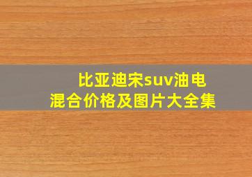 比亚迪宋suv油电混合价格及图片大全集