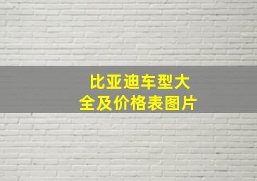 比亚迪车型大全及价格表图片