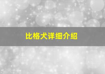 比格犬详细介绍