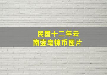 民国十二年云南壹毫镍币图片