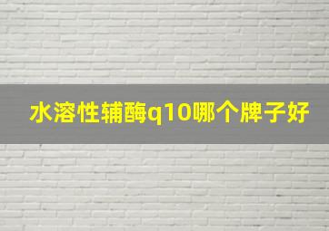 水溶性辅酶q10哪个牌子好