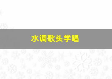 水调歌头学唱