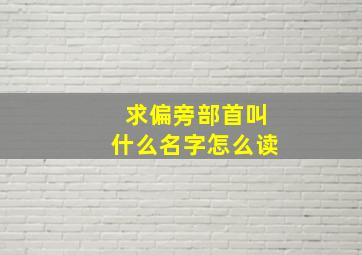 求偏旁部首叫什么名字怎么读