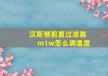 汉斯顿前置过滤器m1w怎么调温度