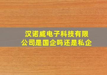 汉诺威电子科技有限公司是国企吗还是私企