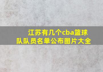 江苏有几个cba篮球队队员名单公布图片大全