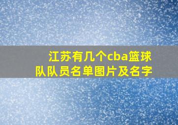 江苏有几个cba篮球队队员名单图片及名字