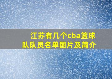 江苏有几个cba篮球队队员名单图片及简介