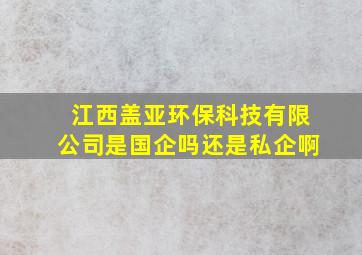 江西盖亚环保科技有限公司是国企吗还是私企啊