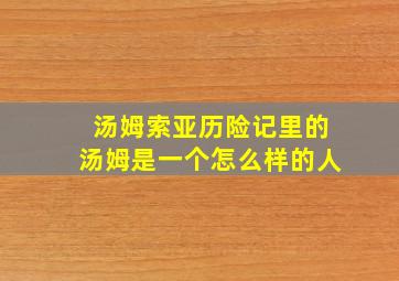 汤姆索亚历险记里的汤姆是一个怎么样的人