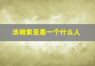 汤姆索亚是一个什么人