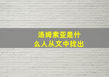 汤姆索亚是什么人从文中找出