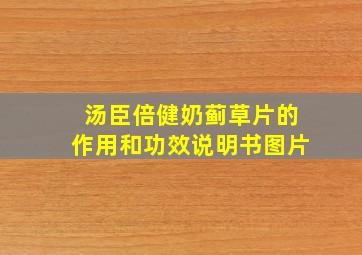 汤臣倍健奶蓟草片的作用和功效说明书图片