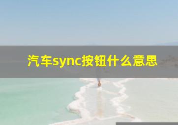 汽车sync按钮什么意思