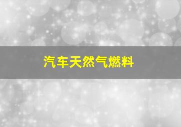 汽车天然气燃料