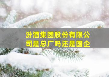 汾酒集团股份有限公司是总厂吗还是国企