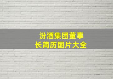 汾酒集团董事长简历图片大全