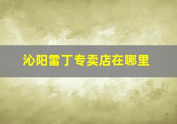 沁阳雷丁专卖店在哪里