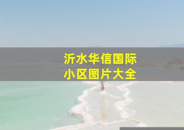 沂水华信国际小区图片大全