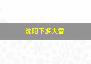 沈阳下多大雪