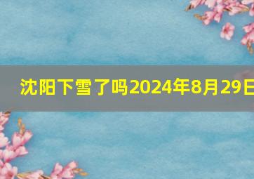 沈阳下雪了吗2024年8月29日