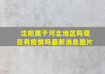 沈阳属于河北地区吗现在有疫情吗最新消息图片