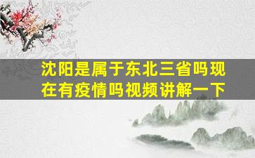 沈阳是属于东北三省吗现在有疫情吗视频讲解一下