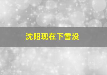 沈阳现在下雪没