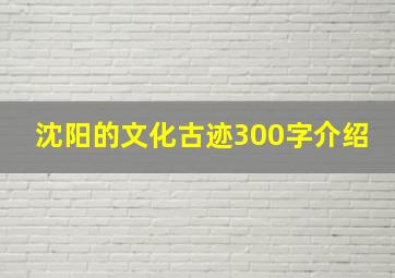 沈阳的文化古迹300字介绍