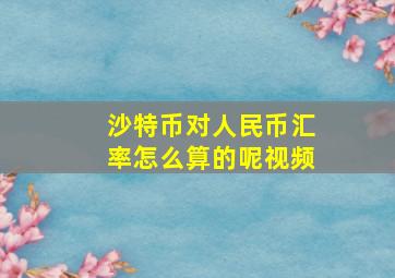 沙特币对人民币汇率怎么算的呢视频