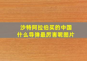 沙特阿拉伯买的中国什么导弹最厉害呢图片