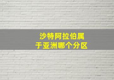 沙特阿拉伯属于亚洲哪个分区