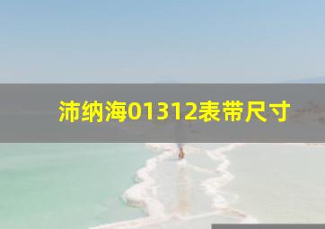 沛纳海01312表带尺寸