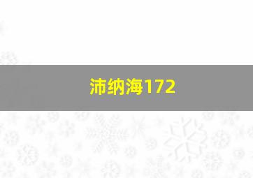 沛纳海172