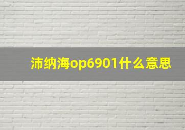 沛纳海op6901什么意思