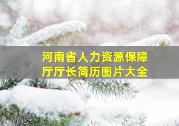 河南省人力资源保障厅厅长简历图片大全