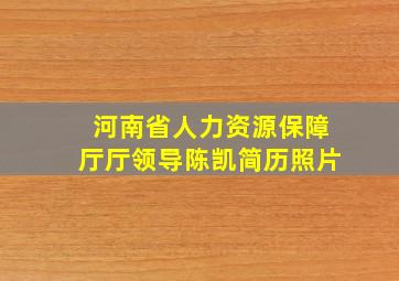 河南省人力资源保障厅厅领导陈凯简历照片