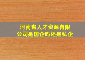 河南省人才资源有限公司是国企吗还是私企