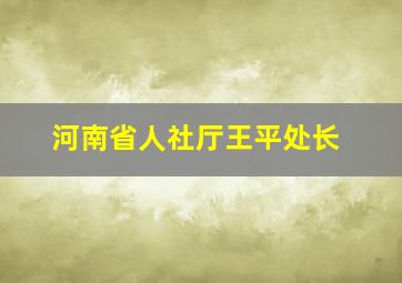 河南省人社厅王平处长