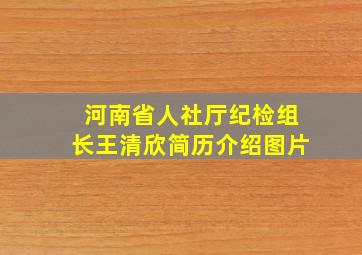 河南省人社厅纪检组长王清欣简历介绍图片