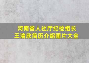 河南省人社厅纪检组长王清欣简历介绍图片大全