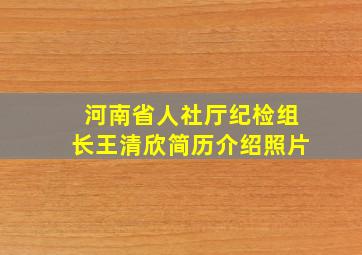 河南省人社厅纪检组长王清欣简历介绍照片