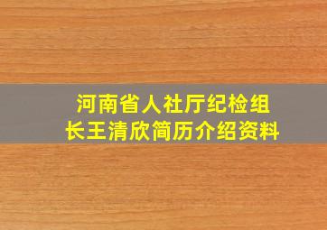 河南省人社厅纪检组长王清欣简历介绍资料